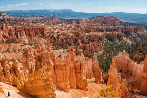 Bryce Canyon Stock Photos