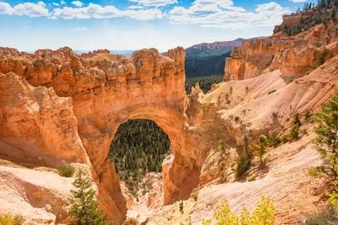 Bryce Canyon Stock Photos