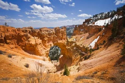 Bryce Canyon Stock Photos