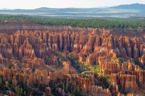 Bryce Canyon Stock Photos