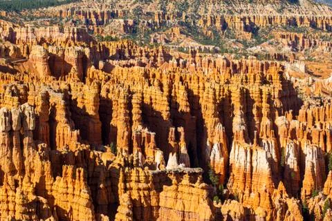 Bryce Canyon Stock Photos