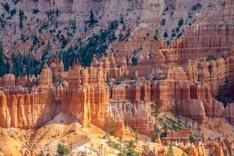Bryce Canyon Stock Photos