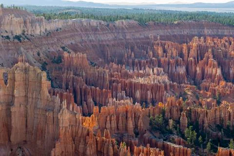 Bryce Canyon Stock Photos
