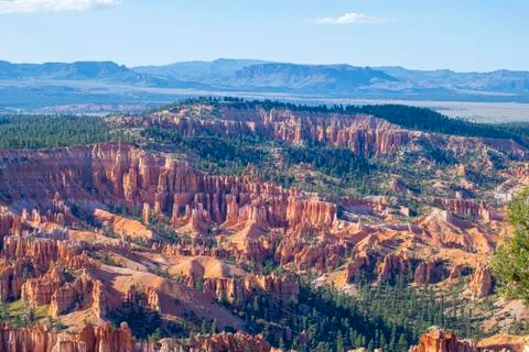 Bryce Canyon Stock Photos