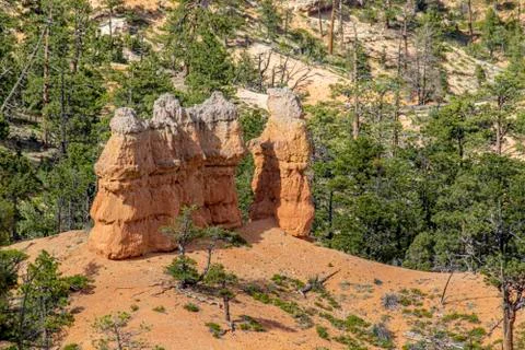 Bryce Canyon Stock Photos