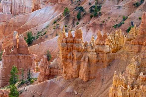 Bryce Canyon Stock Photos