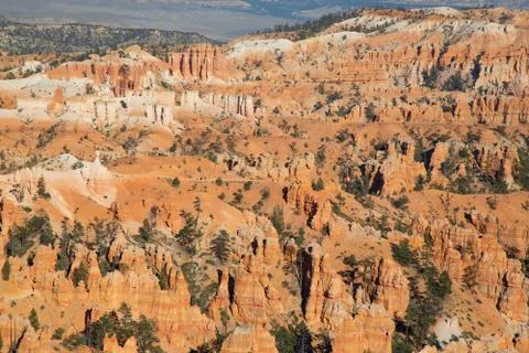 Bryce canyon Stock Photos