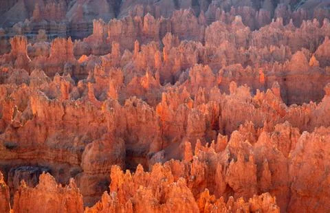 Bryce canyon Stock Photos