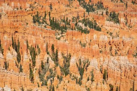 Bryce canyon Foto stock