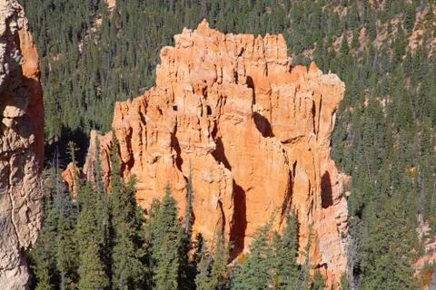 Bryce canyon Stock Photos