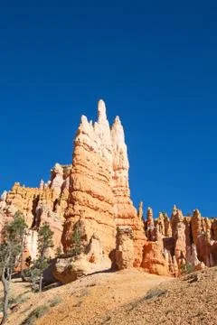 Bryce canyon Stock Photos