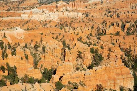 Bryce canyon Stock Photos