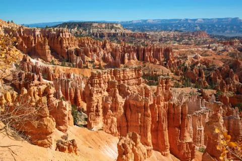 Bryce canyon Stock Photos