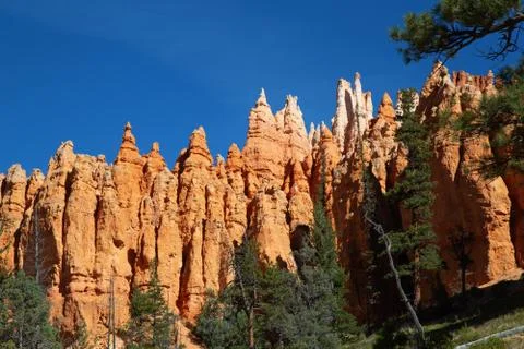 Bryce canyon Stock Photos