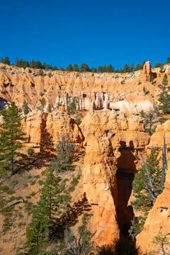 Bryce canyon Stock Photos