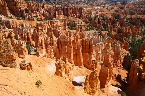 Bryce canyon Stock Photos