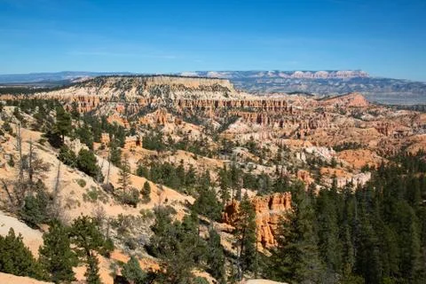 Bryce canyon Stock-Fotos