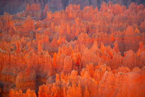 Bryce canyon Stock Photos