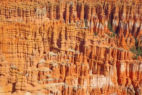 Bryce canyon Stock Photos