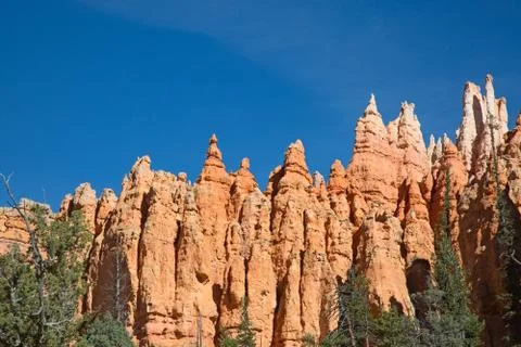 Bryce canyon Stock Photos