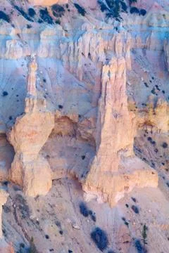 Bryce canyon Stock Photos