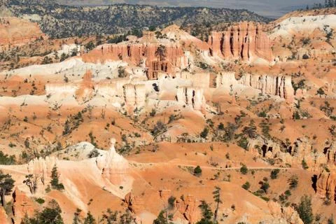 Bryce canyon 스톡 사진