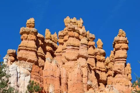Bryce canyon Foto stock