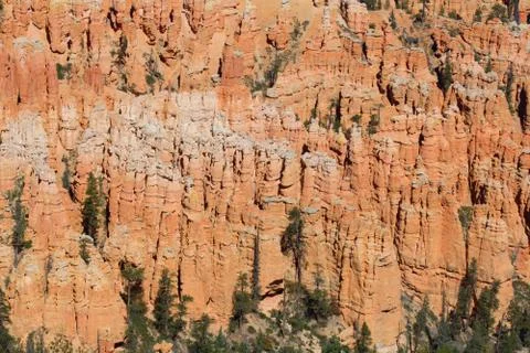 Bryce canyon Foto stock