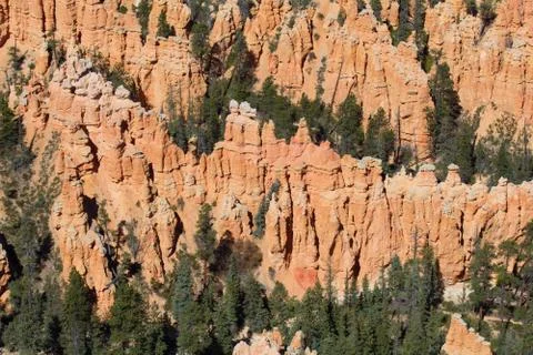 Bryce canyon Stock Photos