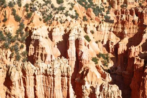 Bryce canyon Stock Photos