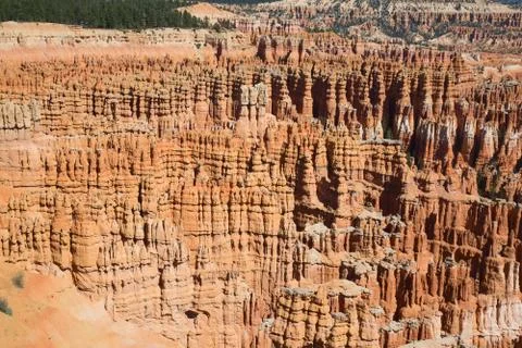 Bryce canyon Stock Photos