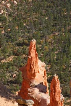 Bryce canyon Foto stock