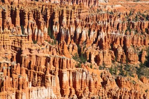 Bryce canyon Stock Photos