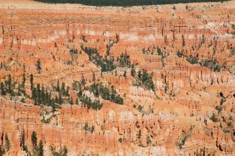 Bryce canyon Stock Photos