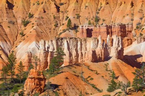 Bryce canyon Stock Photos