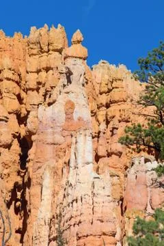 Bryce canyon Stock Photos