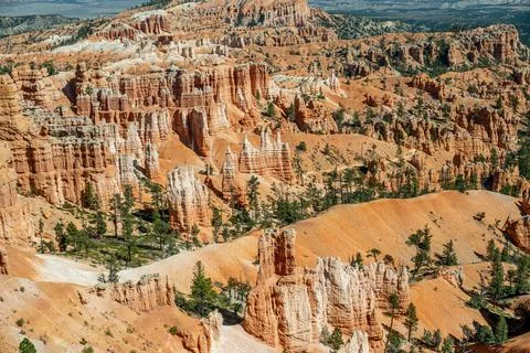 Bryce canyon Stock Photos
