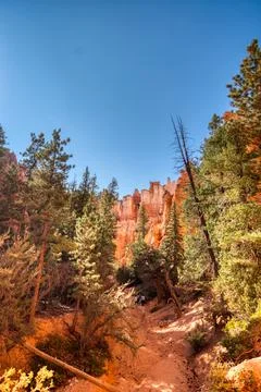Bryce Canyon Stock Photos