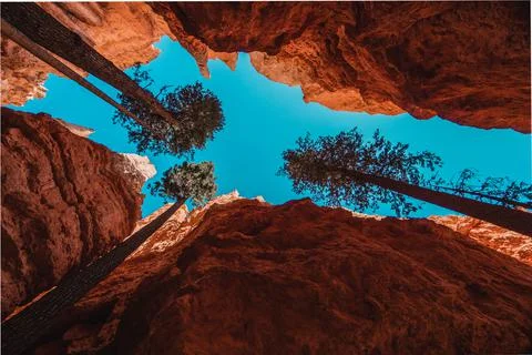 Bryce canyon Stock Photos