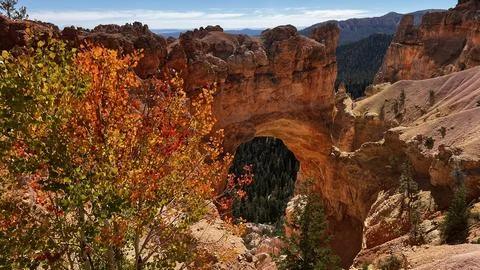 Bryce Canyon Stock Photos