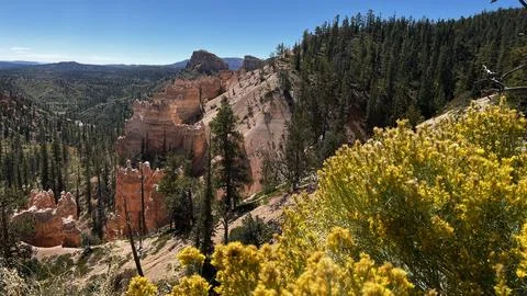Bryce Canyon Stock Photos