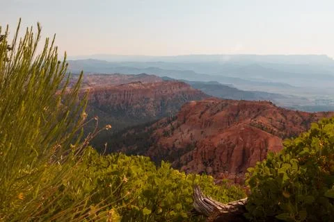 Bryce Canyon Stock Photos
