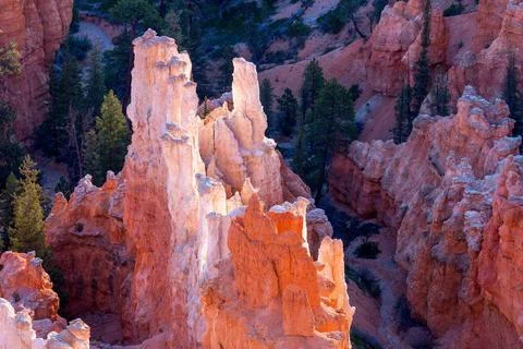 Bryce Canyon Sculpted by the Elements Bryce Canyon Sculpted by the Element... Stock Photos