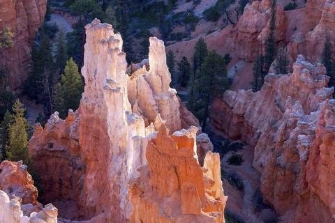 Bryce Canyon Sculpted by the Elements 스톡 사진