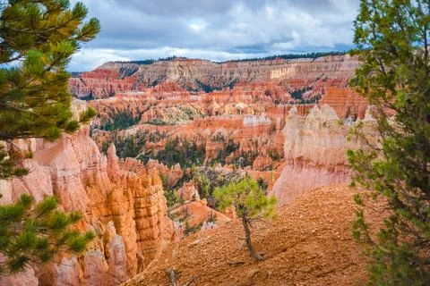 Bryce canyon seen between tree branches Stock Photos