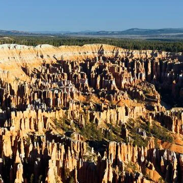 Bryce canyon square Stock Photos