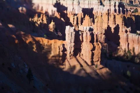 Bryce Canyon, tilt shift effect Stock Photos