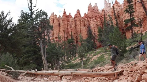 Bryce Canyon Trail Hike Stock Footage 79426974