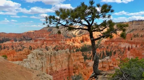 Bryce Canyon, Utah, USA (time lapse) Video stock 8506426