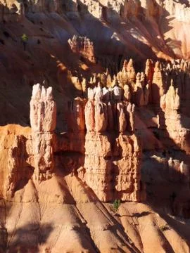 Bryce Canyon Views Stock Photos